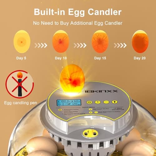 IBKINXX Incubator for Hatching Eggs-12 Egg Capacity, 2026 Newly Upraded Automatic Egg Turner, Temperature & Humidity Control, 360° Viewing for Chicken, Duck and Quail Eggs (Grey) - Thumbnail 2