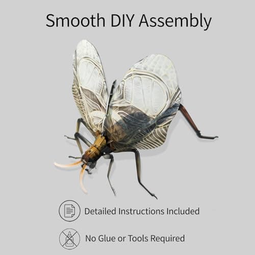 HELLOTOY 3D Acrylic Insects Puzzles DIY Bug Model Kit for Teenagers Educational Display Nature Decoration Figurine Sculpture (Bell Cricket) - Thumbnail 3