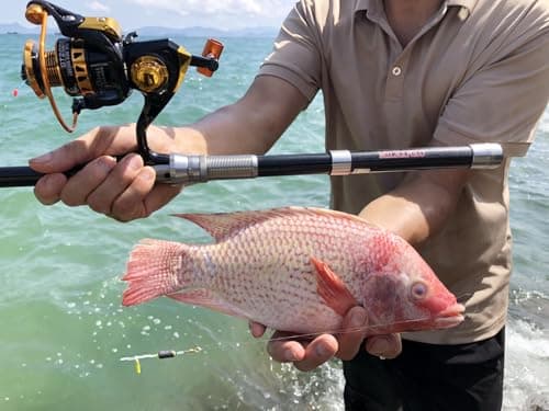 Telescopic Fishing Rod and Reel Combination, 240 Cm Carbon Fiber Rod, Adult Foldable Fishing Rod Suitable for Freshwater and Salt Water - Thumbnail 2