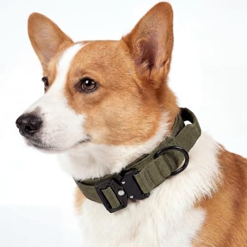 Relux Tactical Dog Collar with Handle – Designed for Small Dogs Adjustable Nylon Pet Collar with Heavy-Duty Metal Buckle, Durable and Comfortable Dog Collar, Suitable for Small Dogs (Green, M) - Image 1