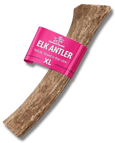 Onward Hound Elk Antlers for Dogs – Deer Antler for Dogs, 8"+ XL Whole Natural Chew, Long Lasting for Aggressive Chewers, Premium Grade A Naturally Shed USA Elk Antlers, 1-Pack