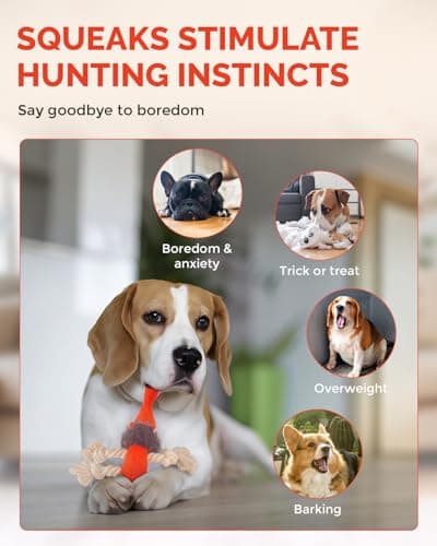 FoxFocus Durable Squeaky Dog Toys for Medium Dogs to Keep Them Busy, Orange - Thumbnail 3