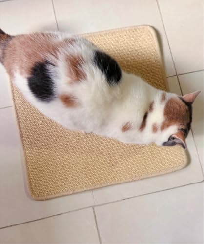 Sisal Cat Scratcher Mat, 17.2" Square Pad Floor & Wall Pad with Tapes - Thumbnail 6