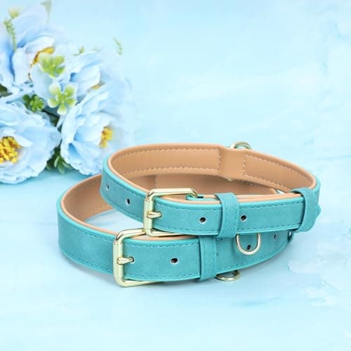 Jumpress Leather Dog Collar for Small Medium Large Dogs, Soft Padded Dog Leather Collar with Heavy Duty Gold Buckle, Durable & Comfortable for Medium Dogs Daily Walking (Teal, M) - Thumbnail 4
