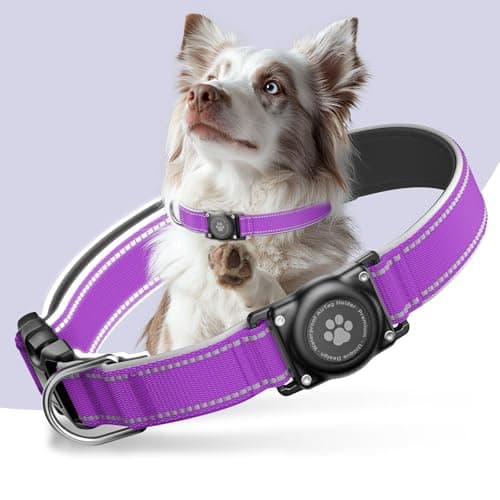 AirTag Dog Collar, IP68 Waterproof Air Tag Dog Collar Holder, Reflective, Ultra-Durable, Comfortable Padded, Heavy Duty Dog Collars for Small Medium Large Dogs (Grape Purple, XL)