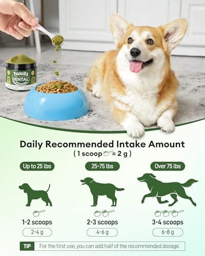 Pawaura Dog Teeth Cleaning Powder,Dog Breath Freshener with Probiotics for Targets Tartar & Bad Breath,Dog Dental Powder for Teeth Cleaning of All Breeds,90 Scoop Supply - Made in USA - Thumbnail 4