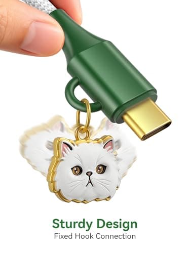 Pet Memorial USB C to USB C Cable, 240W Fast Charging | 30000 Bends SGS Certified | Nylon Braided Type C Cord, Daily Gift for Cat Owner and Pet Lovers for iPhone Samsung MacBook, 3.3FT-Persian - Thumbnail 6