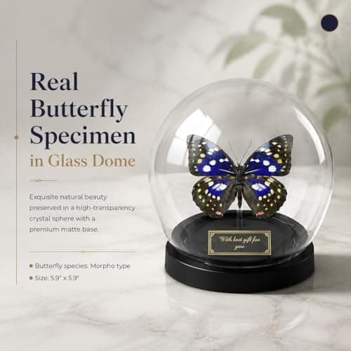 Wugakio Glass Taxidermy Butterfly Specimen Shadow Box, Butterfly Gifts for Women Girls with Glass Cover, Butterfly Decor for Bedroom Office Living Room Desk (Sasakia charonda formosana) - Thumbnail 2