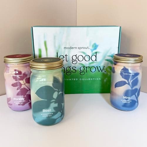 Modern Sprout Garden Jar Gift Pack - Self-Watering Hydroponics Growing System Kit with Organic Herb Seeds - Seed Starter Kit for Indoor Herb Garden - Home Decor & Gifting - Basil, Parsley & Mint - Thumbnail 5