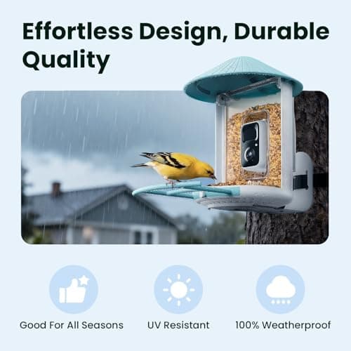 Birdfy Bird Feeder with 2K AI Camera, Solar Powered, Trending Gift Idea for Mom, Dad & Bird-Lover, Wireless Smart Birdwatching with Auto-Record Videos & Notify, Great for Backyard & Outdoor Use - Thumbnail 5