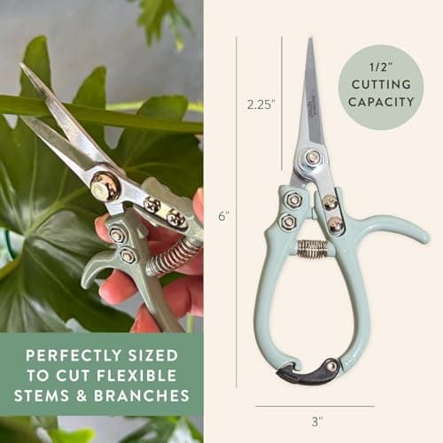 Modern Sprout Pruning Shears - Herb Snipping Scissors- Lightweight Gardening Tools W/Easy Lock - Flower Cutter Garden Shears - Carbon Steel Blade + Plastic-Free Reusable Holster (Multicolor 4 Pcs) - Thumbnail 4
