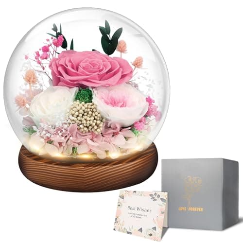 Preserved Flowers Mothers Day Gifts, Gifts for Mom Wife Grandma Girlfriend, Fresh Flowers for Delivery Prime, Real Eternal Rose for Christmas, Birthday, Anniversary, Pink - Image 1