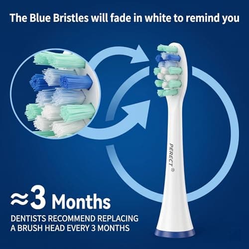 PERECT Sonicare Replacement Heads Compatible with Philips Sonicare, Toothbrush Heads for Click-On Handles, Fits C2 C3 G2 4100, Optimal Gum Care Soft Replacement Heads for Sensitive Teeth, 6 Pack - Thumbnail 4