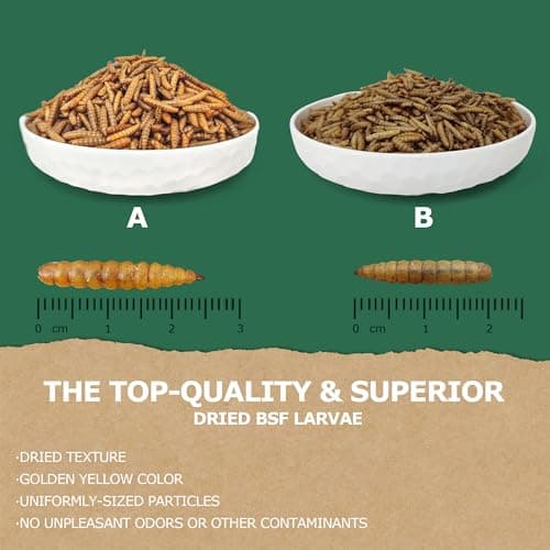HARTOMPET 1LB Non-GMO Dried Black Soldier Fly Larvae for Chickens, Superior Calcium Boost, Better Than Dried Mealworms, Poultry Feed Ideal for Molting & Laying Hens, Wild Birds, Ducks | Top Grade BSF - Thumbnail 3