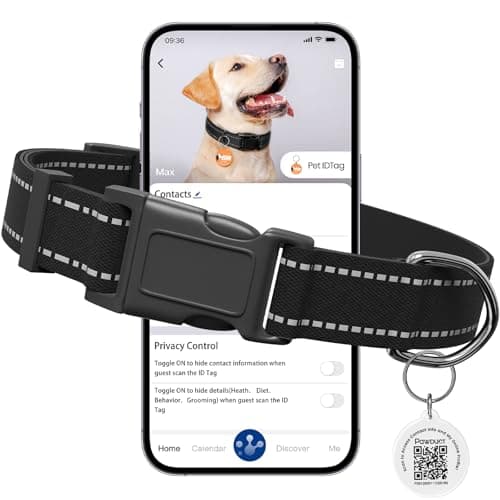 Pawduct Personalized Dog Collar for Boy Dogs, Custom ID Tag, Extra Small, Black