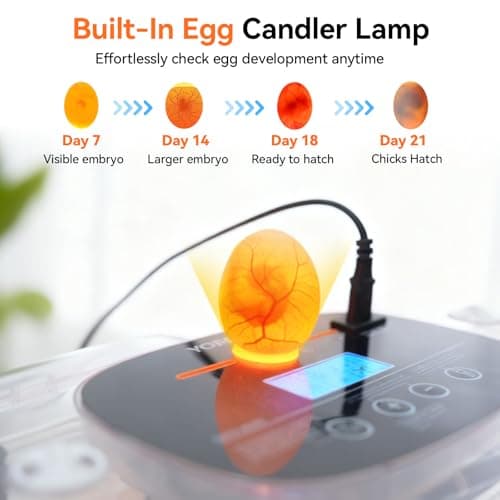 Incubators for Hatching Eggs, 24 Egg Incubator, Automatic Egg Turner with Humidity Control & Digital Temperature, Hatch Day, Auto Water Refill, 360°Viewing for Chicken, Duck, Quail, Duck, Goose - Thumbnail 5