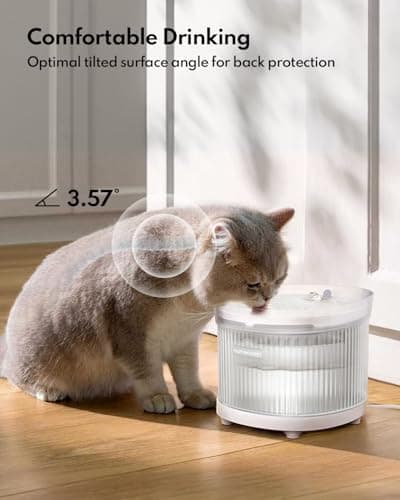 Homerunpet Cat Water Fountain with Wireless Pump, BPA-Free Pet Water Fountain Indoor, Detachable Design, Easy Cleaning Cat Water Bowl for Cats, Dogs, 2L/68oz - Thumbnail 5