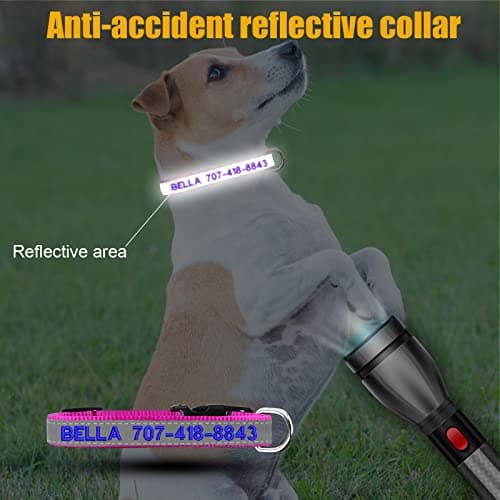 Reflective Personalized Dog Collar - Custom Embroidered Dog Collars with Pet Name and Phone Number for Boy and Girl Dogs, 4 Adjustable Sizes, XSmall,Small, Medium and Large - Thumbnail 2