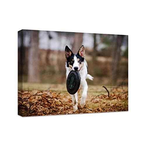 Personalized Photo to Canvas Print - Canvas Prints With Your Photos on Custom Wall Art for Bedroom, Living Room, Wedding Baby Pet Family Picture Framed Wall Art (10" W x 8" H) - Image 1