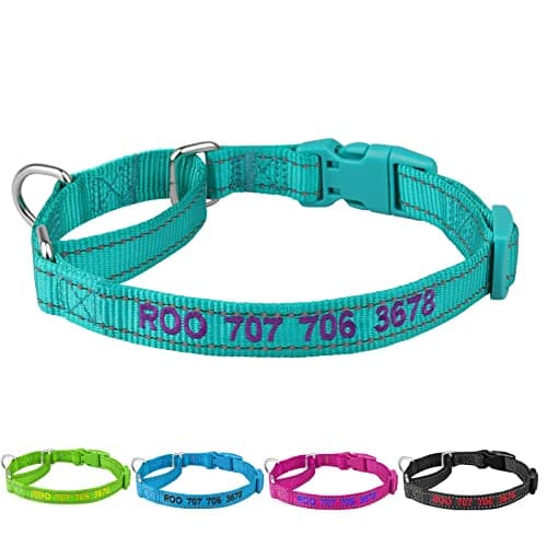 Personalized Martingale Dog Collar-Reflective Martingale Collars with Buckle, Custom Training Martingale Dog Collars Embroidered with Name and Phone Number for Small Medium Large Dogs - Thumbnail 4