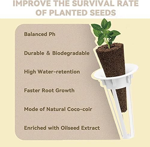 inbloom Salad Green Seed Pod Kit for Hydroponics Growing System, 12 Pods (350+ Seeds with American Fast/Paris Island/Buttercrunch Lettuce, Swiss Chard, Spinach, Cauliflower, and Wild Cabbage) - Thumbnail 4