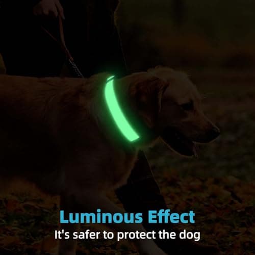 Personalized Dog Collars for Small & Large Dogs with Custom Name and Phone Numbers, Glow in The Dark Adjustable Glowing Luminous Collar(Fluorescent Glow) - Thumbnail 6