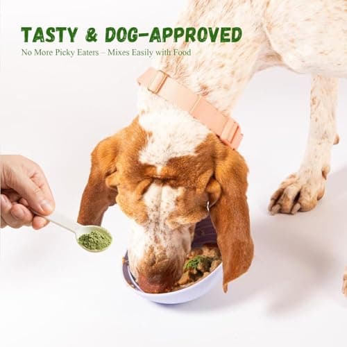 Vetriuntrix Dog Dental Powder, 200g Dental Powder for Dogs Teeth Cleaning and Breath Fresh, Dog Teeth Cleaning Powder with Natural Plants Ingredients and Postbiotics - Thumbnail 4