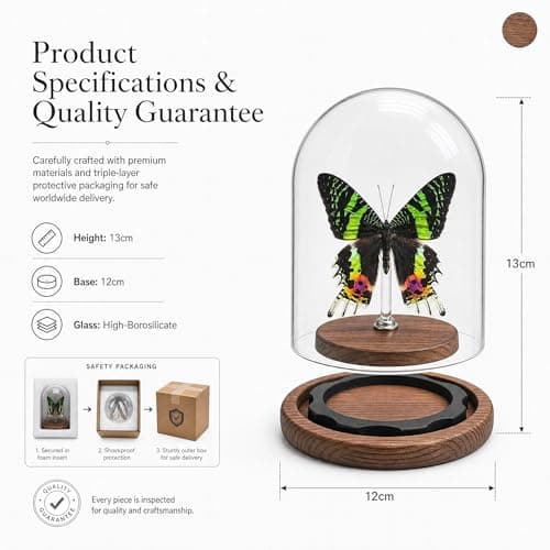 Wugakio Glass Taxidermy Butterfly Specimen Shadow Box, Butterfly Gifts for Women Girls with Glass Cover, Butterfly Decor for Bedroom Office Living Room Desk (Chrysiridia rhipheus) - Thumbnail 2