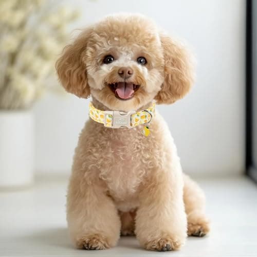 Babole Pet Summer Dog Collar Yellow Lemon Dog Collars for Large Dogs - Lightweight Adjustable Cute Male Female Dogs Everyday Collar with Safety Buckle L - Thumbnail 2