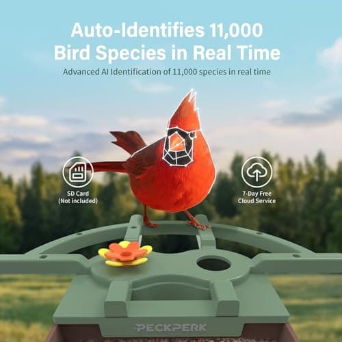 Smart Bird Feeder with Camera Solar Powered Outdoor - 2K HD Live Video, AI Bird ID, Squirrel-Proof, Instant Alerts & IP65 Weatherproof Outside, Great Gift for Familys & Friends - Thumbnail 4
