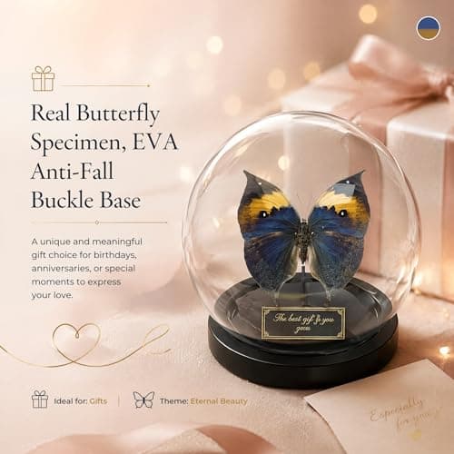 Wugakio Glass Taxidermy Butterfly Specimen Shadow Box, Butterfly Gifts for Women Girls with Glass Cover, Butterfly Decor for Bedroom Office Living Room Desk (Kallima inachus) - Thumbnail 4