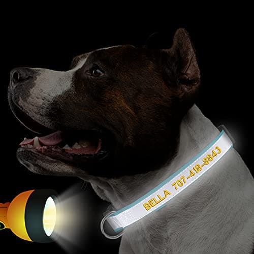 Reflective Personalized Dog Collars - Custom Dog Collar Embroidered with Name and Phone Number for Boy and Girl Dogs,Adjustable for Puppy Small Medium Large Dogs - Thumbnail 6