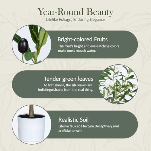 Sillaff Olive Tree 6FT Fake Tree Faux Plants Indoor with Pot Artificial Tree Nearly Natural Olive Branches and Fruits for Living Room Home Office Decorations - Thumbnail 5