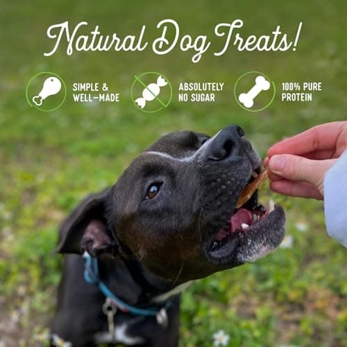Beg & Barker Chicken Jerky for Dogs (4 Ounce, Pack of 2) - Dog Training Treats - Natural Dog Treats Made in The USA - Grain Free, Diabetic-Friendly, High Protein, Sugar-Free - Thumbnail 4