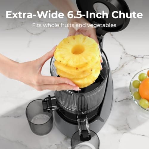 EanOruus Juicer Machines, 3-in-1 Cold Press Juicer with 6.5" Extra Large Chute, 100oz Large Capacity, AC Motor, Makes Juice, Nut Milk & Sorbet, Premium Gray - Thumbnail 4
