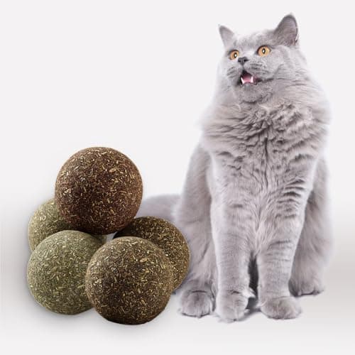Eaireys Natural Catnip Toys for Indoor Cats Interactive Cat Nip Balls, 5Pcs, 2 Catnip, 2 Silvervine, and 1 Gall Fruit Ball - Image 1
