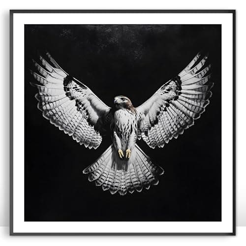 Moonow7 Majestic Hawk Wall Art Prints, Black and White Wildlife Posters, Bird of Prey Decor, Living Room Artwork, Office Wall Accents, Bold Nature Home Decor, Unframed Size 30x30 cm / 12x12″