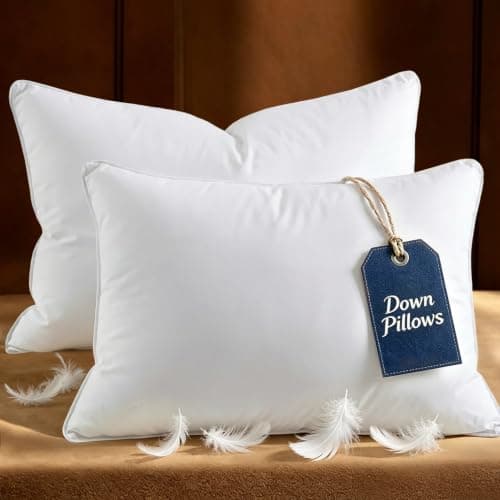 WQSPRING Goose Down Pillows Standard Size Set of 2 with 750 Fill Power, Hotel Quality Bed Pillows for Sleeping - Medium Firm Feather Pillows Ideal for Side, Back, Stomach Sleepers - Image 1