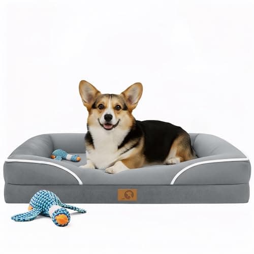 Homemate Dog Beds Large Sized Dog: 36x27 inch Orthopedic Large Dogs Bed XL Outdoor Pet Cat Bed Sofa Supplies with Toy Dogs Crate Pad Couch with Removable Washable Cover & Non-Slip Botton Light Grey - Image 1