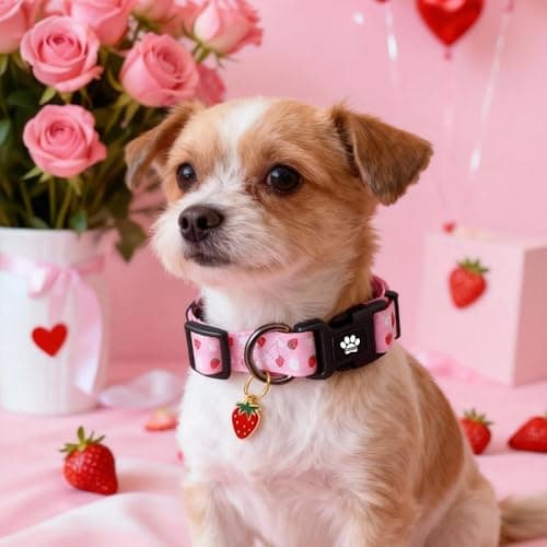 TENICER Pink Strawberry Dog Collar, Cute Pet Collars for Puppy Small Medium Large Boy Girl Dogs-M - Thumbnail 3