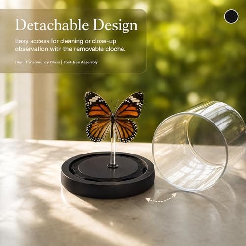Real Taxidermy Butterfly Specimen Shadow Box, Butterfly Gifts for Women Girls with Glass Cover, Butterfly Decor for Bedroom Office Living Room Desk， Danaus genutia - Thumbnail 2