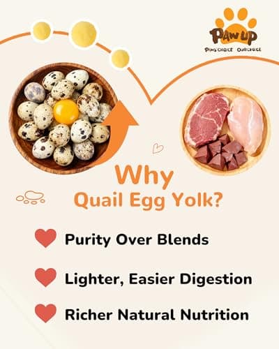 PAWUP Freeze Dried Cat & Dog Treats, Natural Quail Egg Yolk, Single Ingredient, High-Protein Pet Snacks for Skin & Coat Health, No Artificial Additives, 9.2 oz - Thumbnail 4