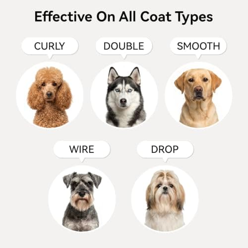 aumuca Dog Detangling & Shine Spray – Leave-in Conditioner & Dematting Spray for Doodles, Cats & Horses Without Buildup | 5-Protein Complex for Deep Repair & Enhanced Shine | 8 Fl Oz (Meadowfoam) - Thumbnail 6