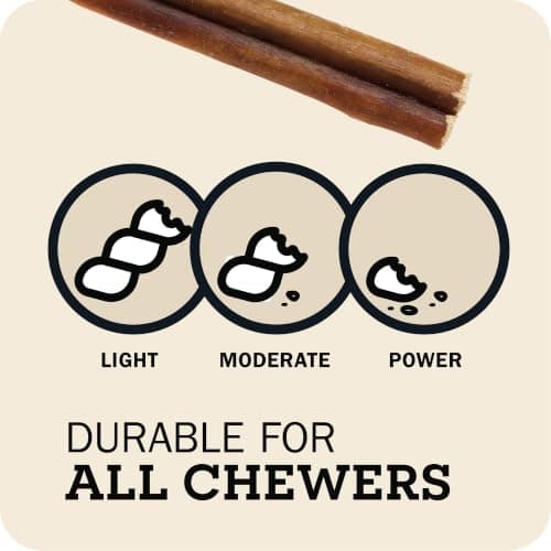 Redbarn Pet Products All Natural 5"-8" Bully Sticks for Small & Large Dogs - Healthy Long Lasting Chews Variety Party Pack - 100% Beef Single Ingredient Low Odor Rawhide Free Dental Treats - 8 oz Bag - Thumbnail 5