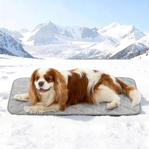 COZY KISS Dog Cooling Mat 20"x30" Q-Max>0.4, Waterproof Pet Bed Cover, Non-Slip Dog Bed Mat, Washable Cooling Pad for Small Dogs, Cats, Crate, Couch, Furniture Protector (Gray) - Image 1
