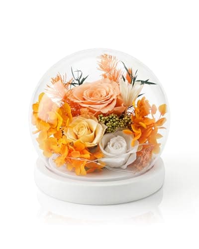 Nysunten Forever Preserved Flowers Decoration in Clear Glass Dome, Long Lasting Flowers Gift for Her, Romantic Gift for Mother’s Day Valentine’s Day (Champagne) - Image 1