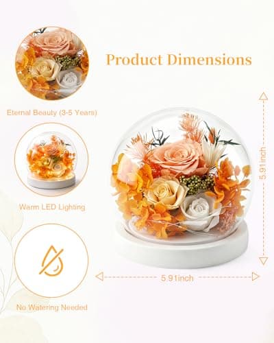 Nysunten Forever Preserved Flowers Decoration in Clear Glass Dome, Long Lasting Flowers Gift for Her, Forever Rose Gift for Mother’s Day Valentine’s Day (Champagne) - Thumbnail 5