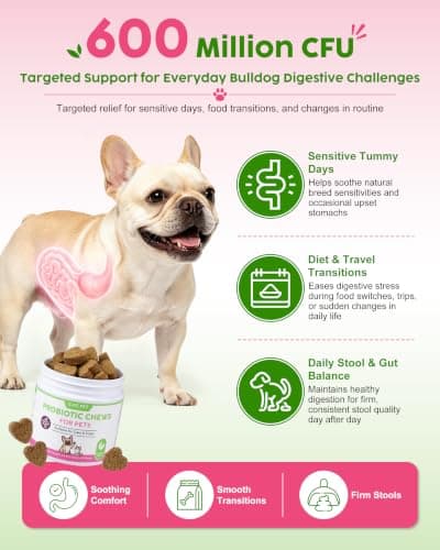 GJYC PET Probiotic Soft Chews for Dogs & Cats - 600M CFU Multi-Strain Probiotics, Prebiotics & Digestive Enzymes - Chicken Flavor Daily Gut Health Supplement - 60 Soft Chews (120g) - Thumbnail 5