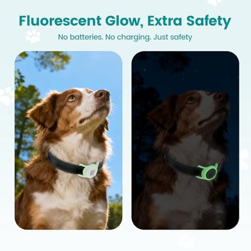 for Airtag Dog Collar Holder with QR Code ID Tag, Glow in The Dark, Fluorescent Silicone for Airtag Case for Dog Collars, Scan Instant Alert, Emergency Contact, Pet Online Profile (Green) - Thumbnail 2