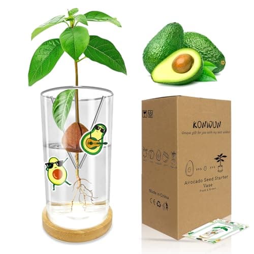 KONIDUN Avocado Seed Starter Vase - Avocado Tree Growing Kit with Base and Sticker, Glass Avocado Pit Sprouting Plant Pot Gift for Women, Gardening Lovers Home Office Table Decoration, Indoor No Seed - Image 1